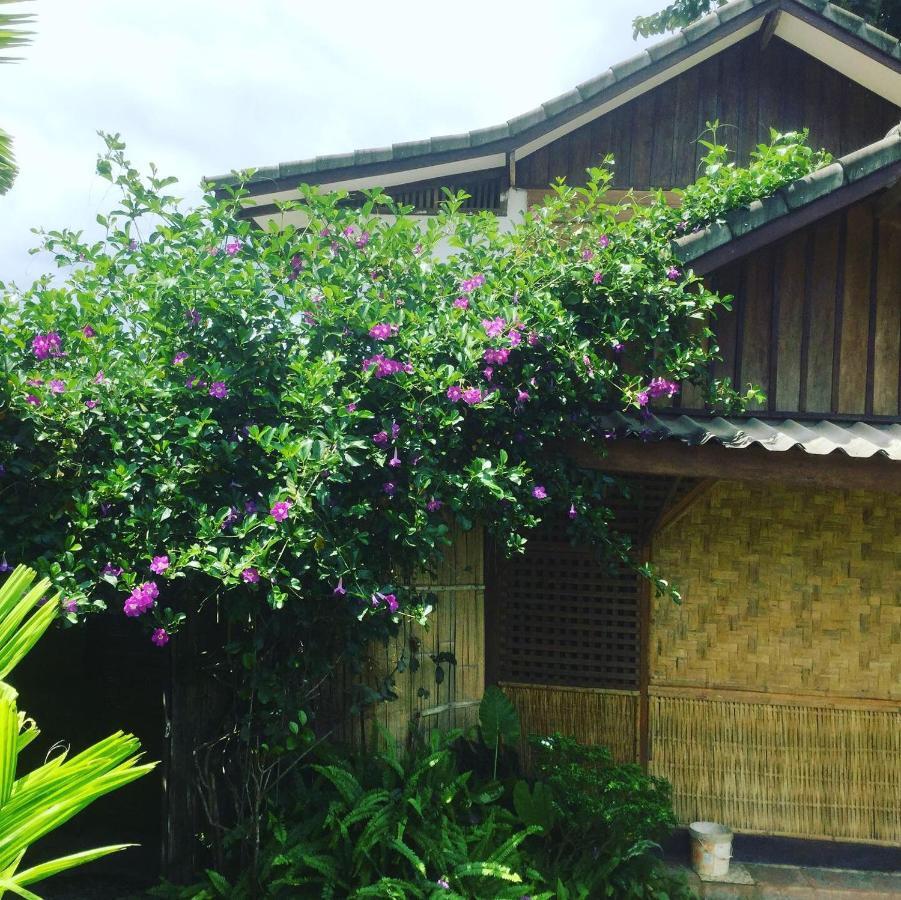 Phoxay Ngam Resort Vang Vieng Exteriér fotografie